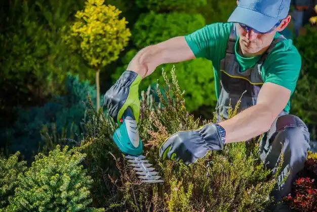 landscaping services Worthington Hills
